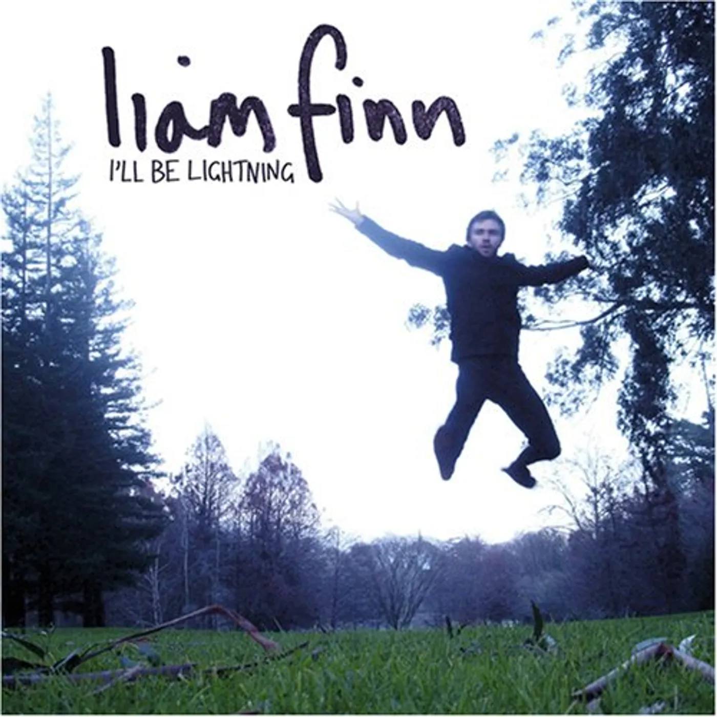 Liam Finn I'll Be Lightning Vinyl Record