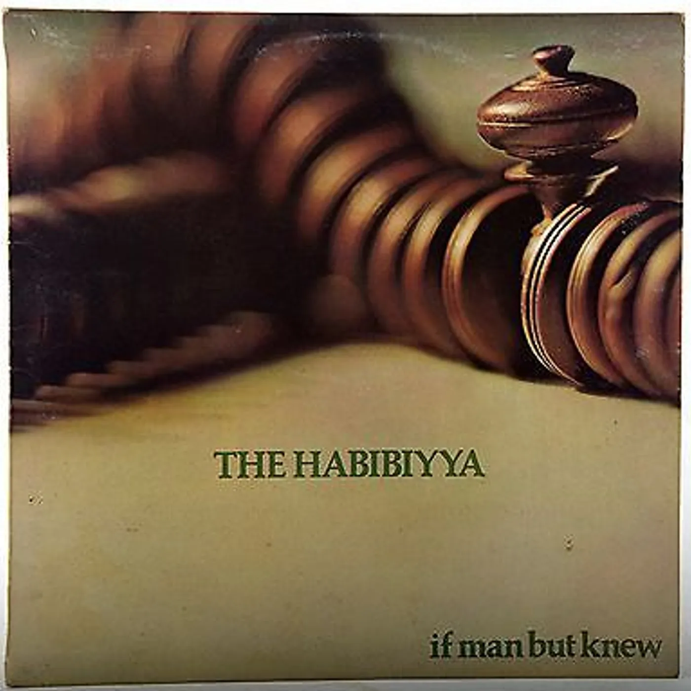 The Habibiyya IF MAN BUT KNEW Vinyl Record