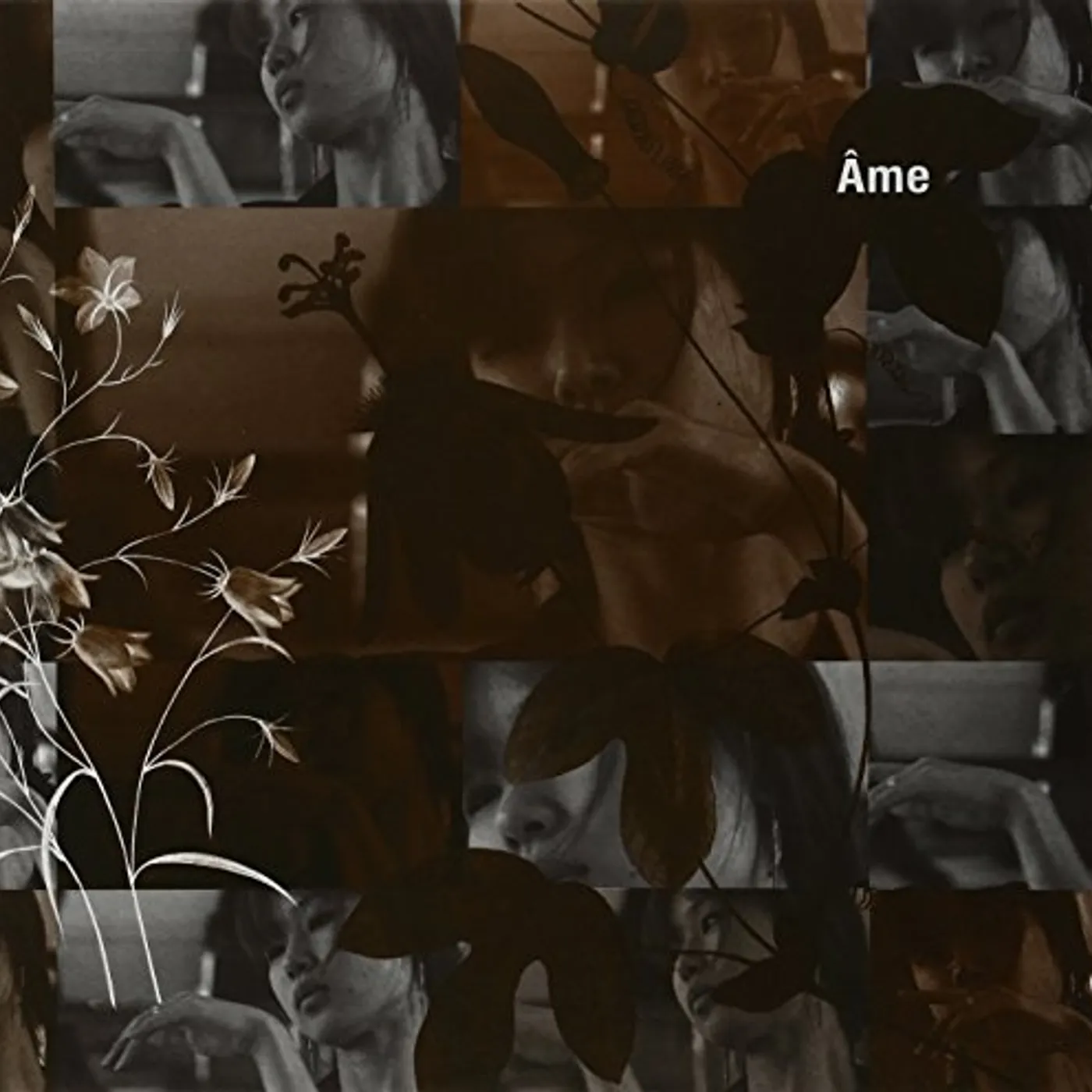 Ame Fiori Vinyl Record