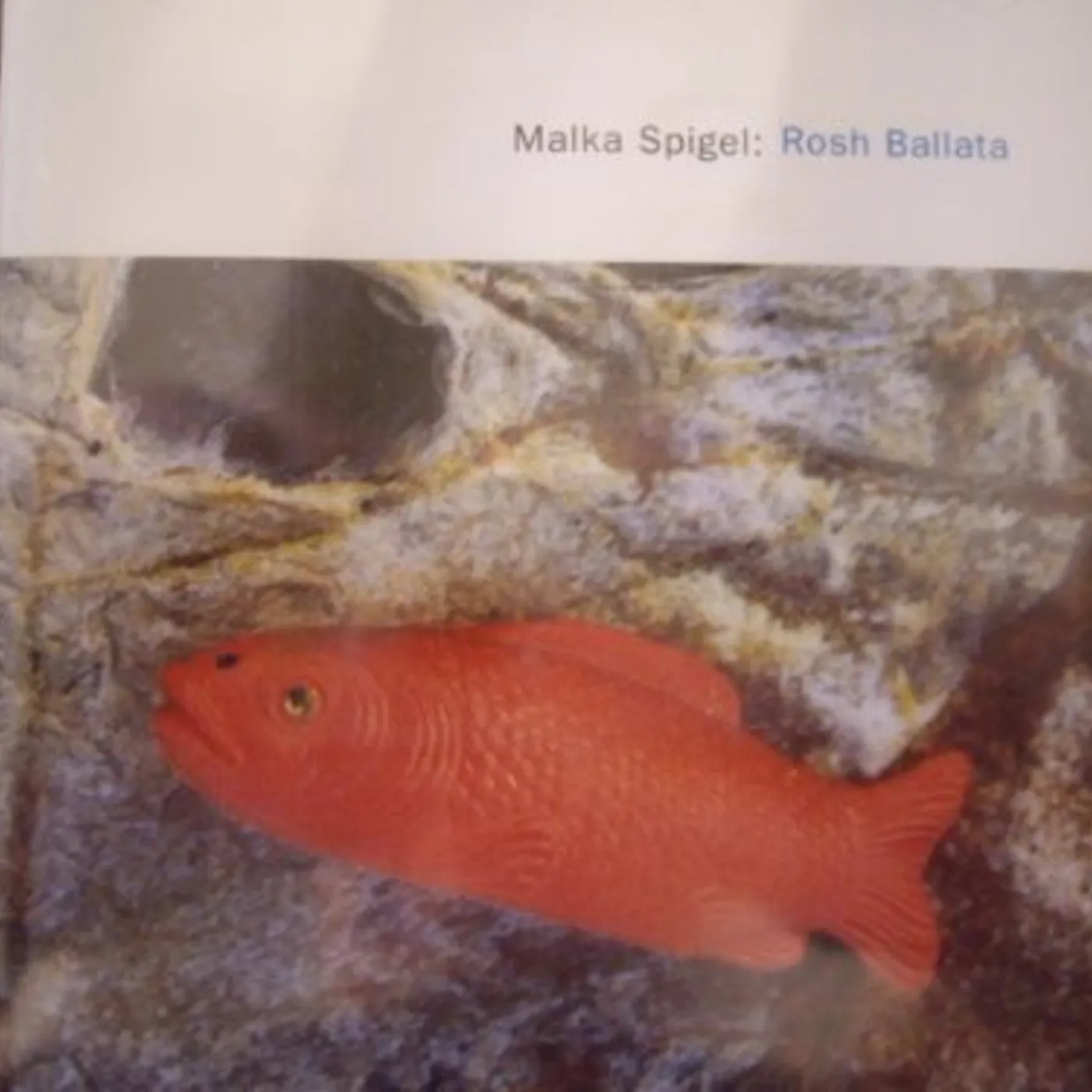 The Durutti Column CIRCUSES & BREAD CD