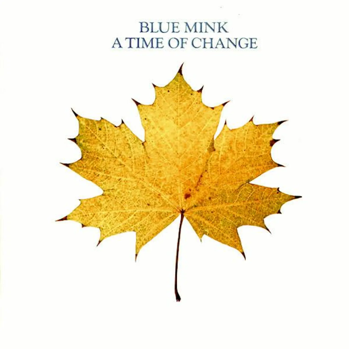 Blue Mink A TIME OF CHANGE CD
