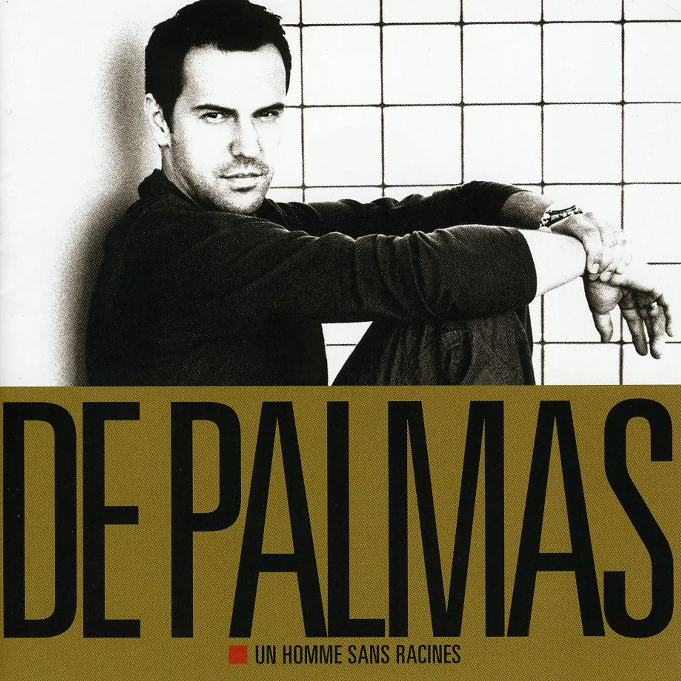 Gérald De Palmas UN HOMME SANS RACINES CD