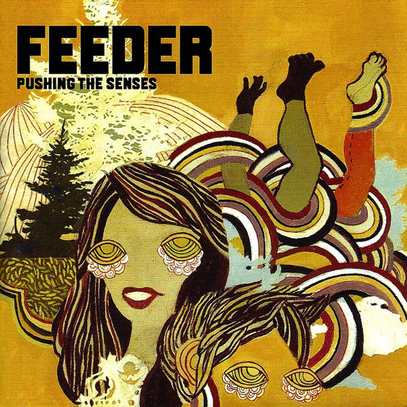 Feeder PUSHIN SENSES CD