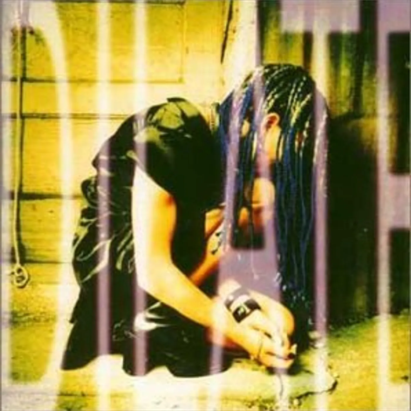 Ani DiFranco DILATE CD