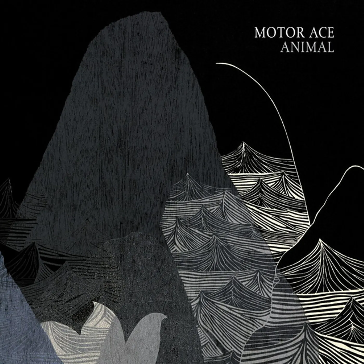 Motor Ace ANIMAL CD
