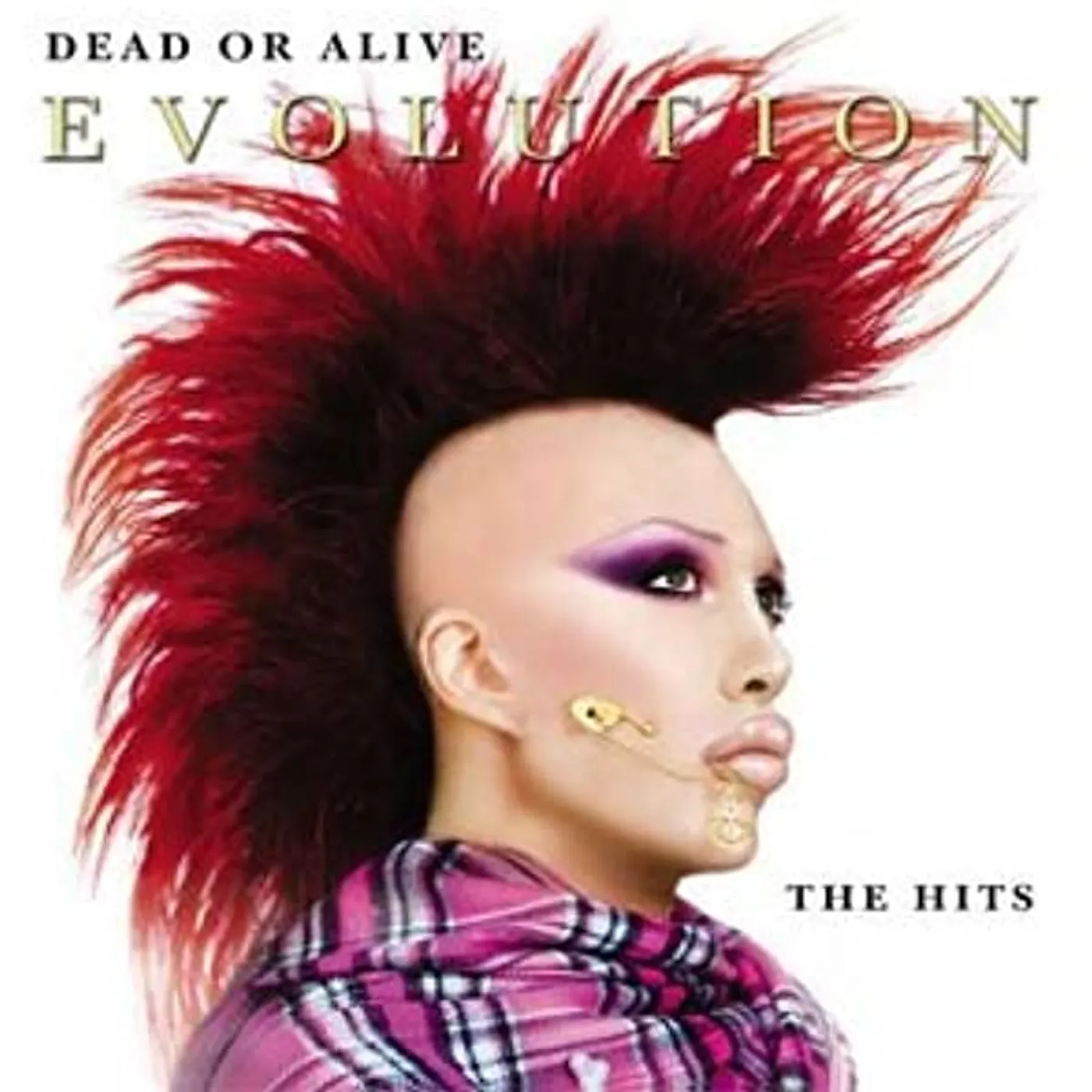 Dead Or Alive EVOLUTION-BEST CD
