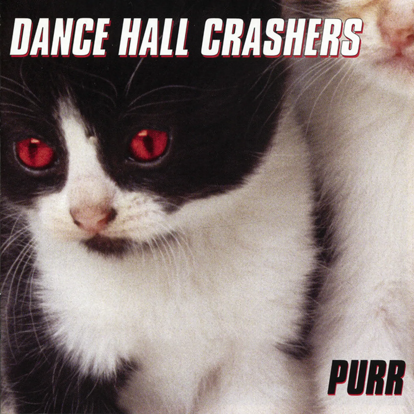 Dance Hall Crashers PURR CD