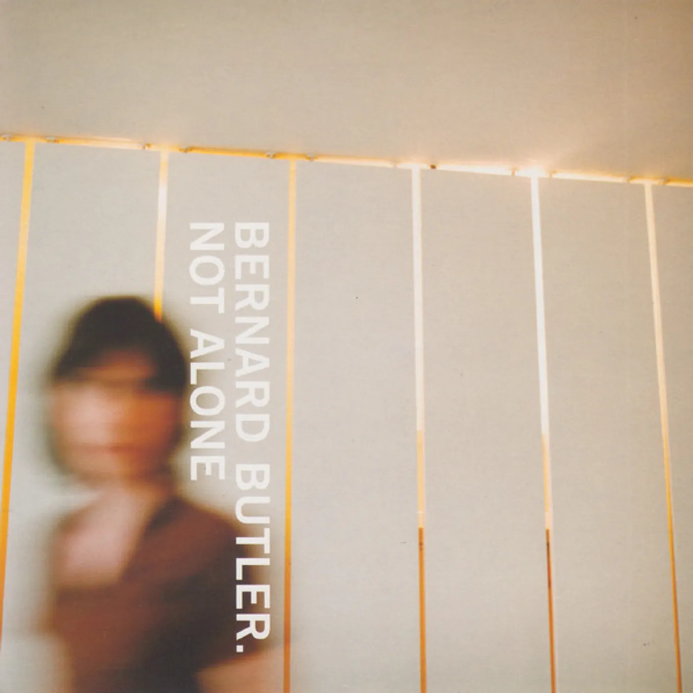 Bernard Butler NOT ALONE CD