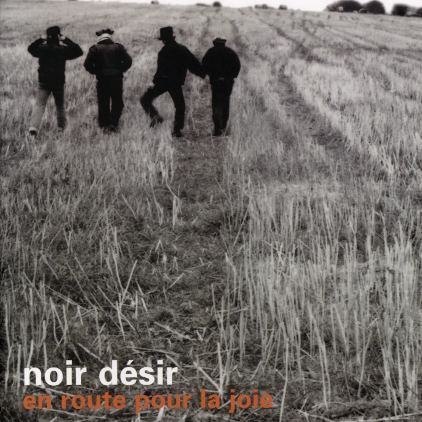 Noir Désir EN ROUTE POUR LA JOIE CD