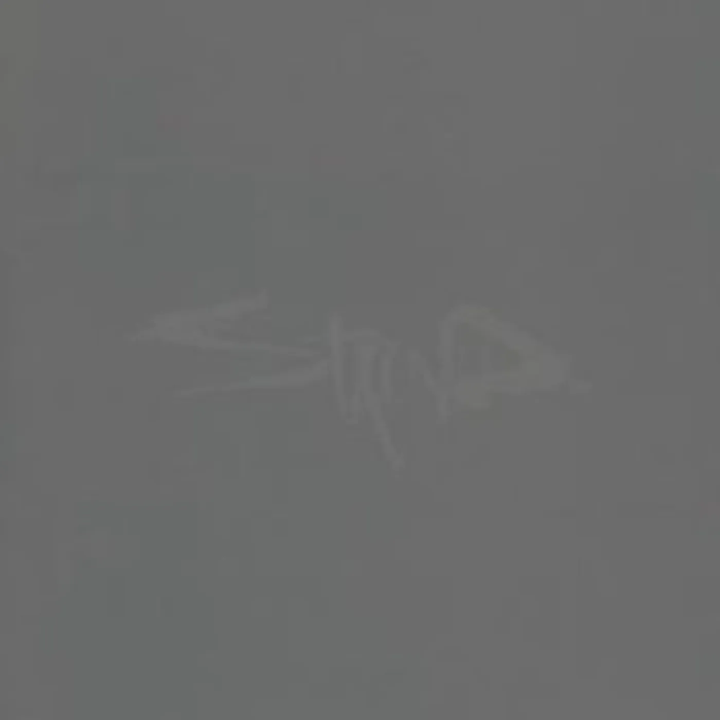 Staind 14 SHADES OF GREY CD