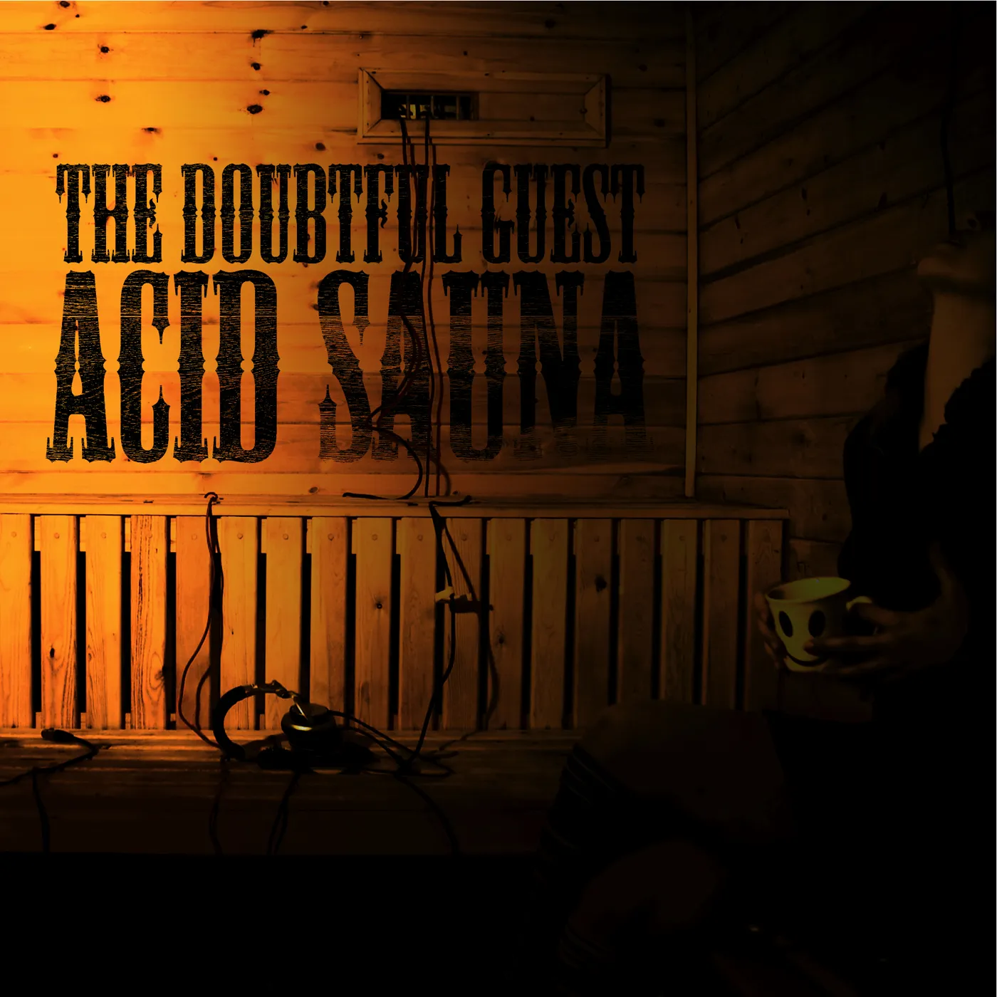 The Doubtful Guest ACID SAUNA CD