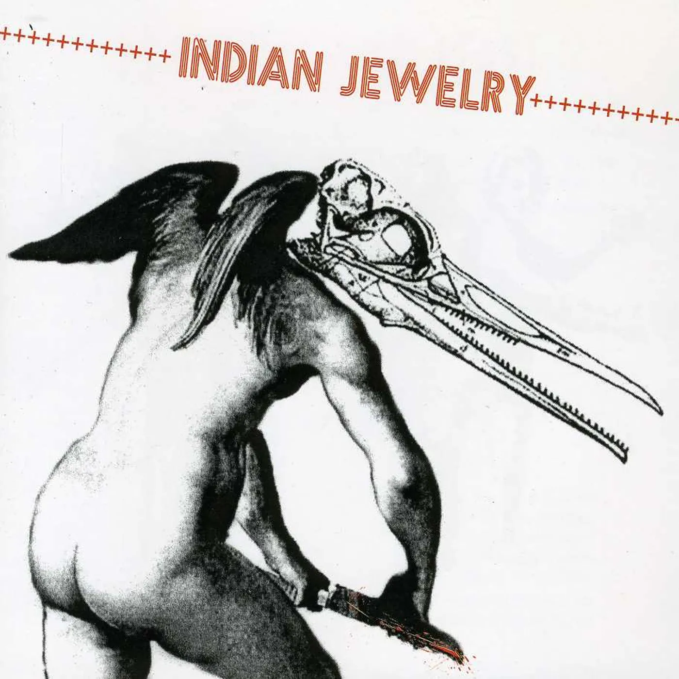 Indian Jewelry WE ARE THE WILD CD