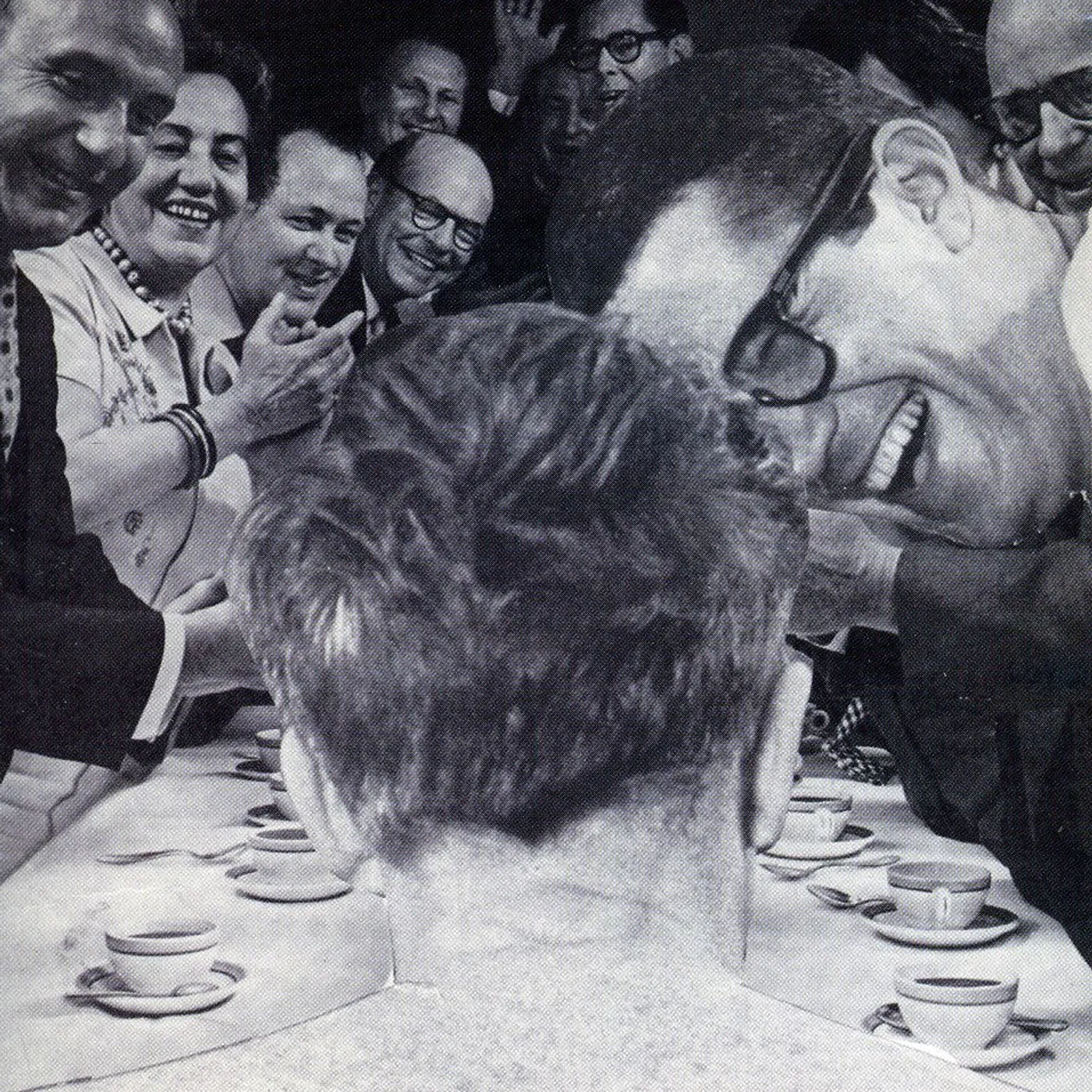 The Takeovers LITTLE GREEN ONION MAN CD