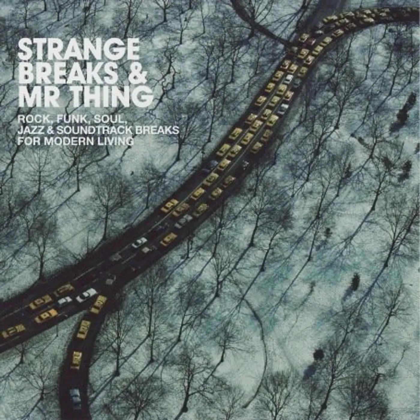Strange Breaks & Mr Thing Vinyl Record
