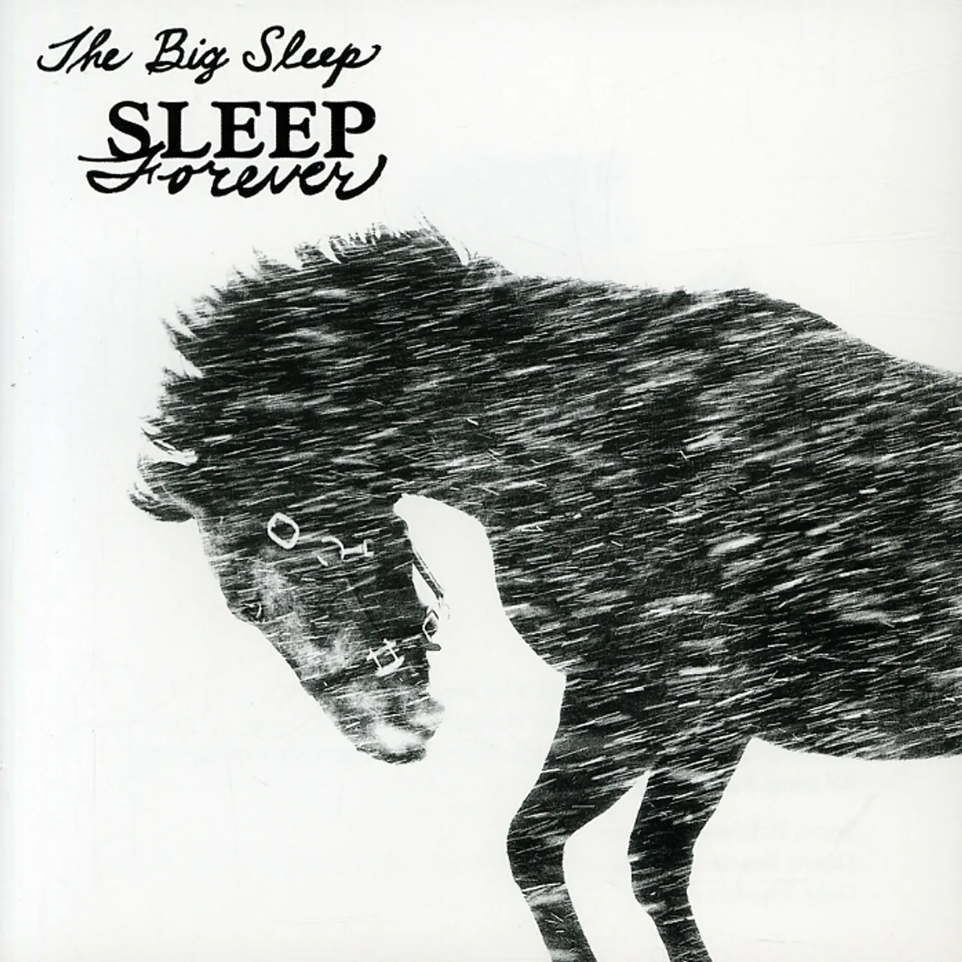 The Big Sleep SLEEP FOREVER CD