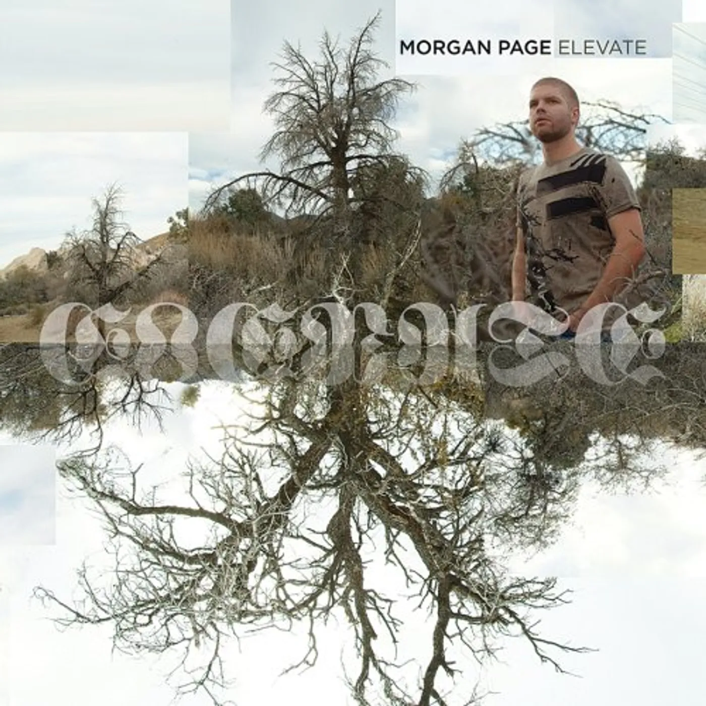 Morgan Page ELEVATE CD