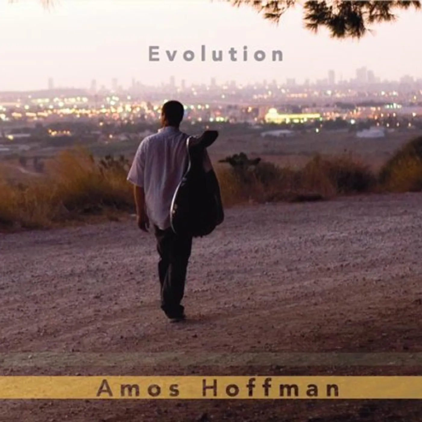 Amos Hoffman EVOLUTION CD