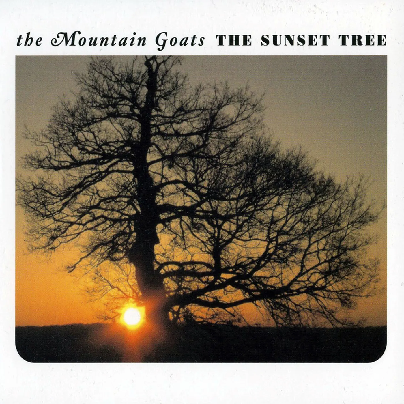 The Mountain Goats SUNSET TREE Vinyl Record