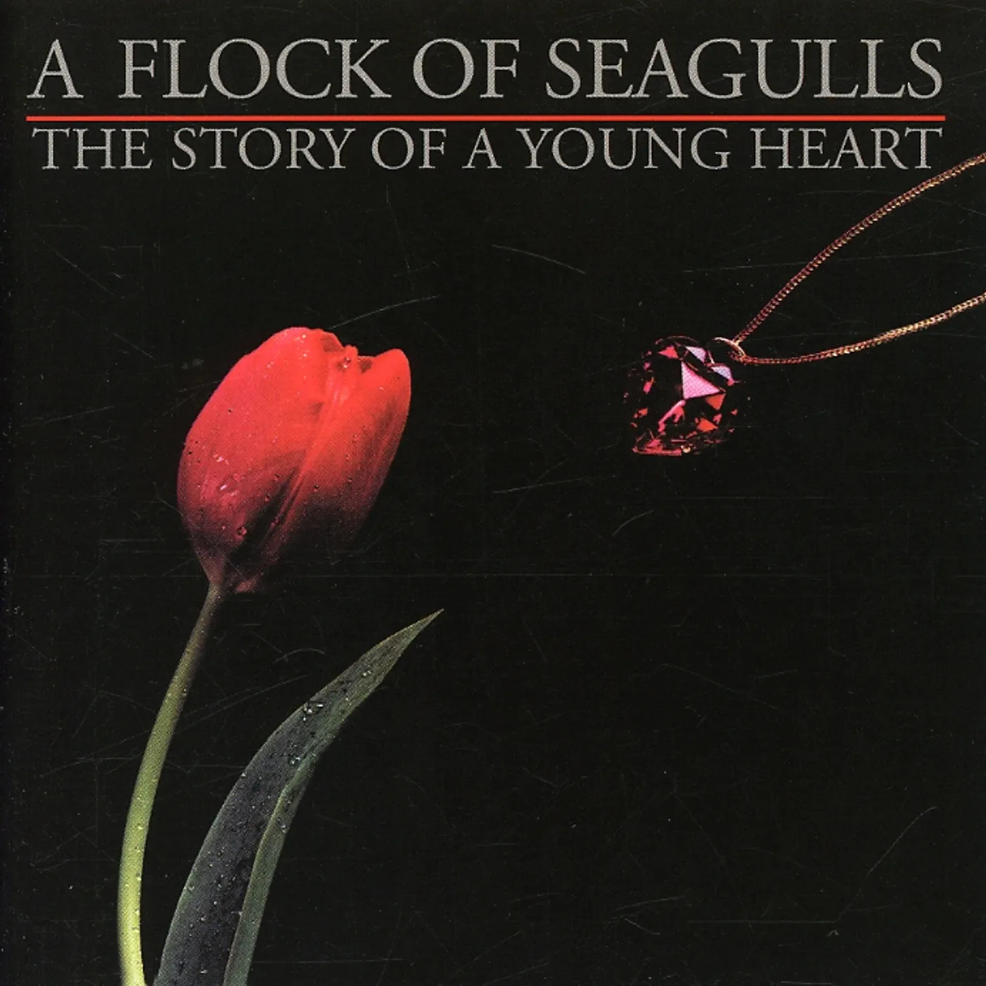 A Flock Of Seagulls STORY OF A YOUNG HEART CD