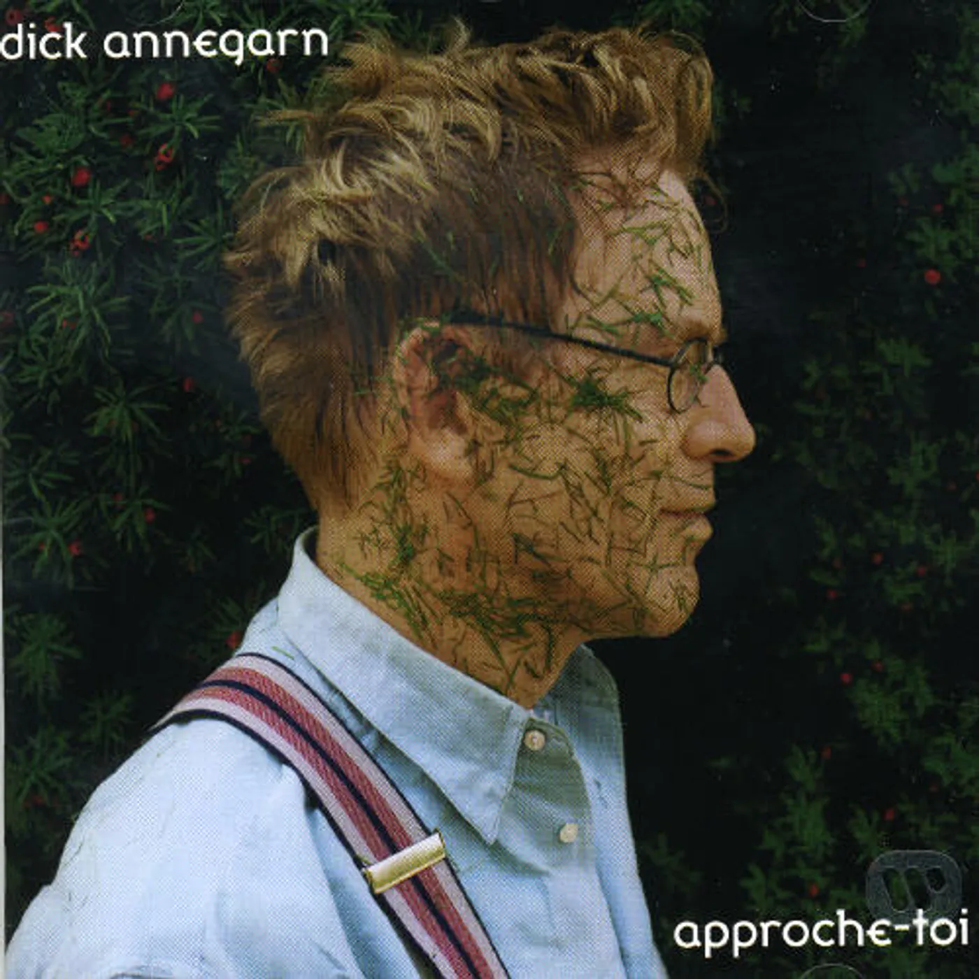 Dick Annegarn APPROCHE TOI CD