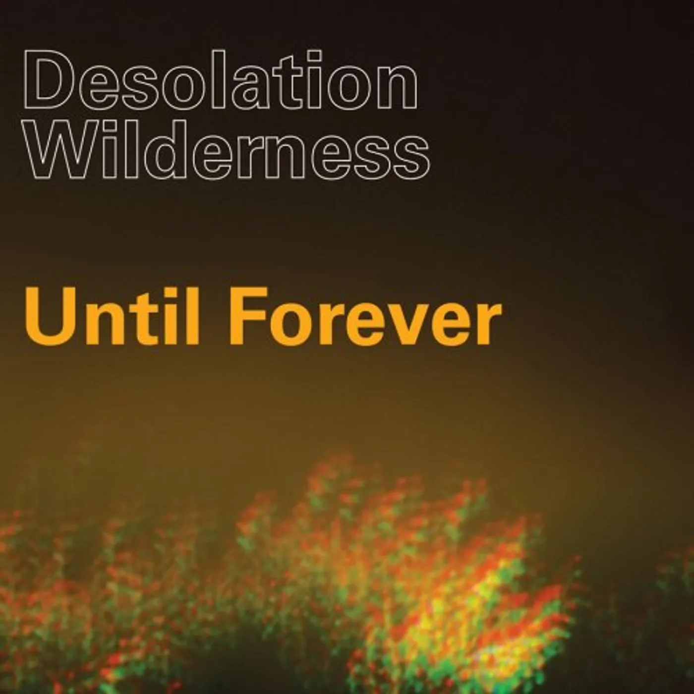 Desolation Wilderness Until Forever Vinyl Record