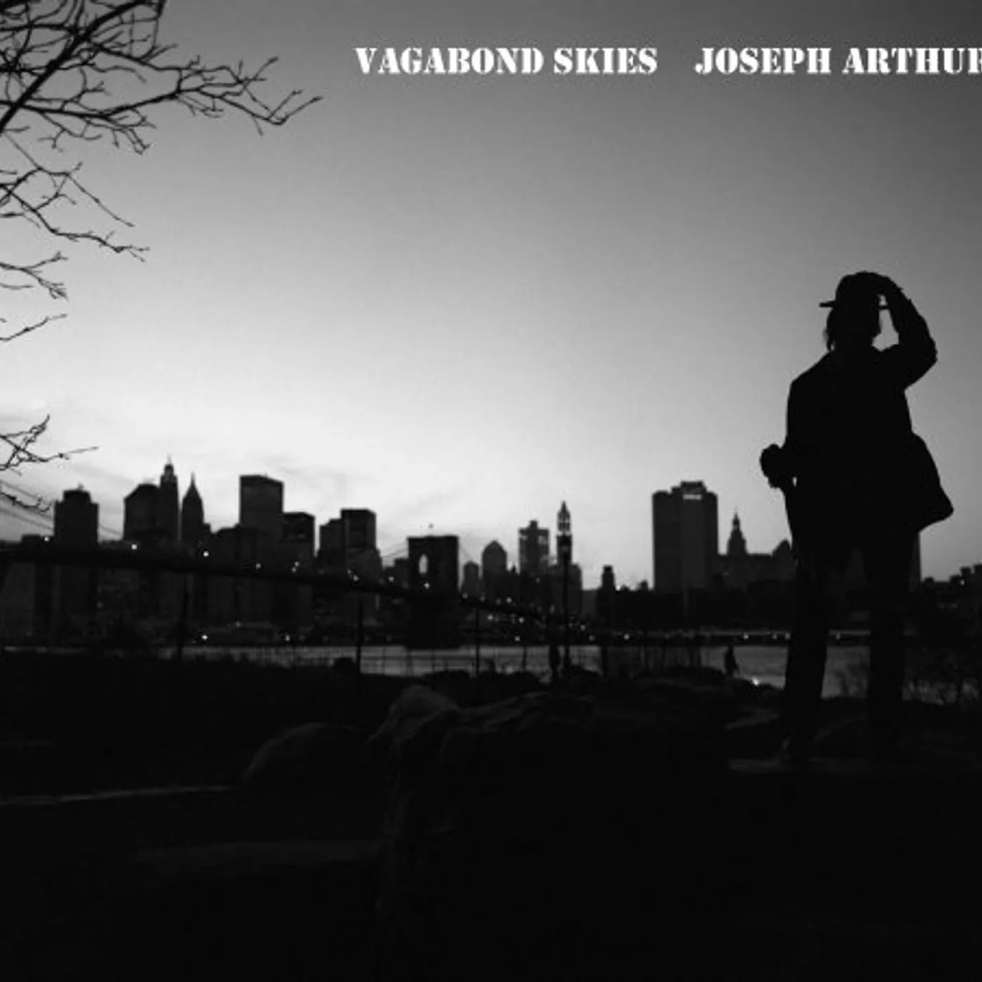 Joseph Arthur VAGABOND SKIES CD