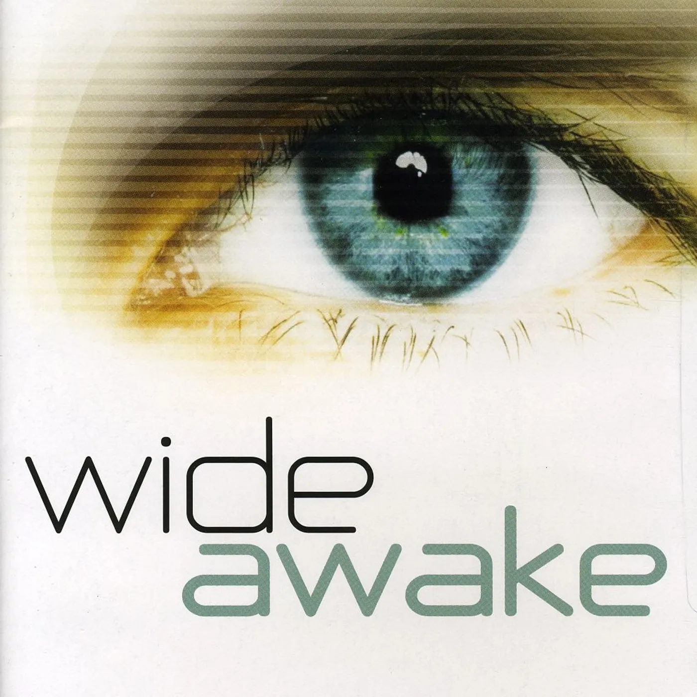 WiDE AWAKE (2008) DVD
