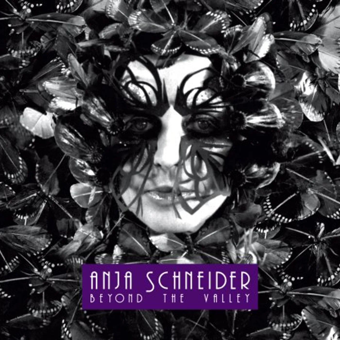 Anja Schneider Beyond The Valley Vinyl Record