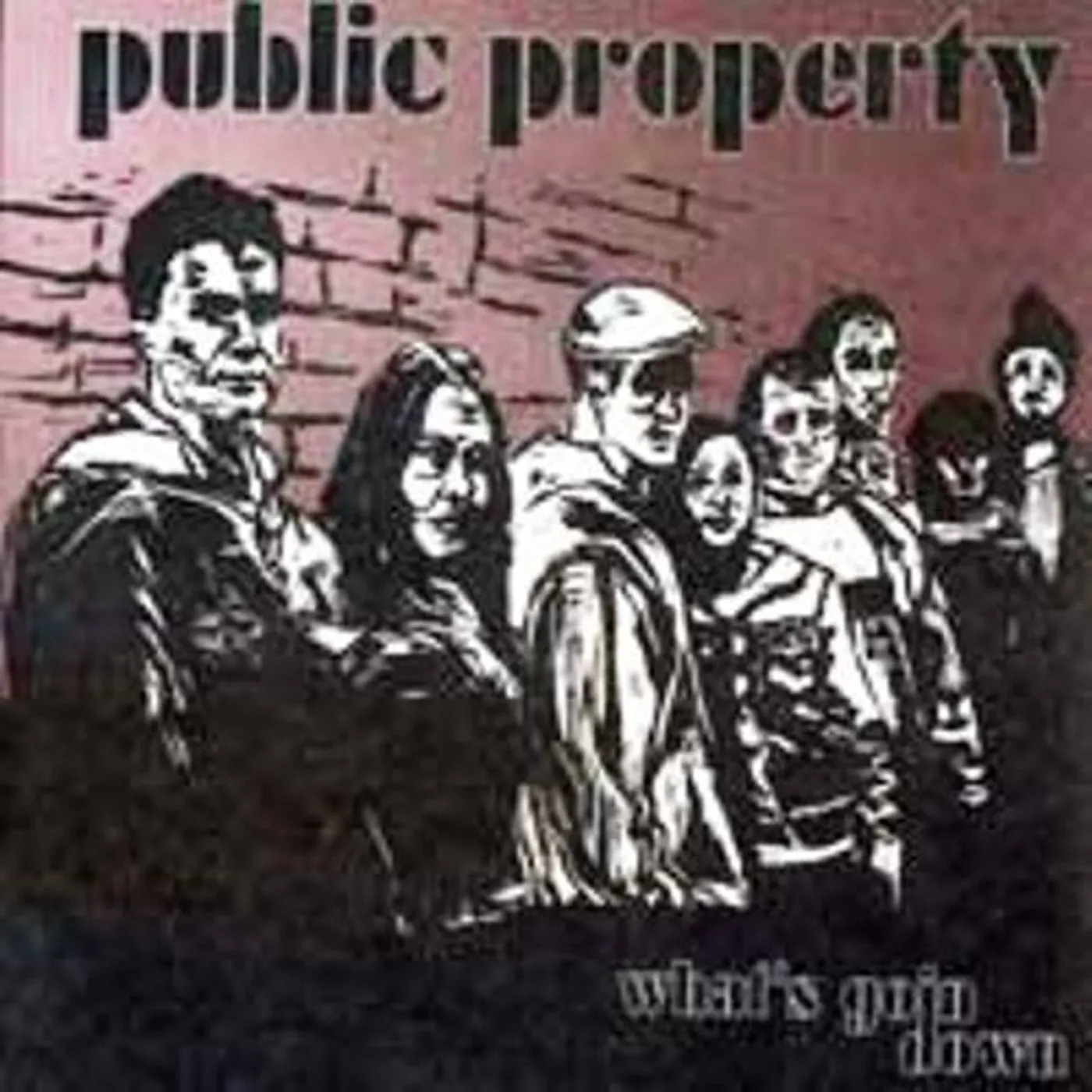 Public Enemy WHAT'S GOIN DOWN CD