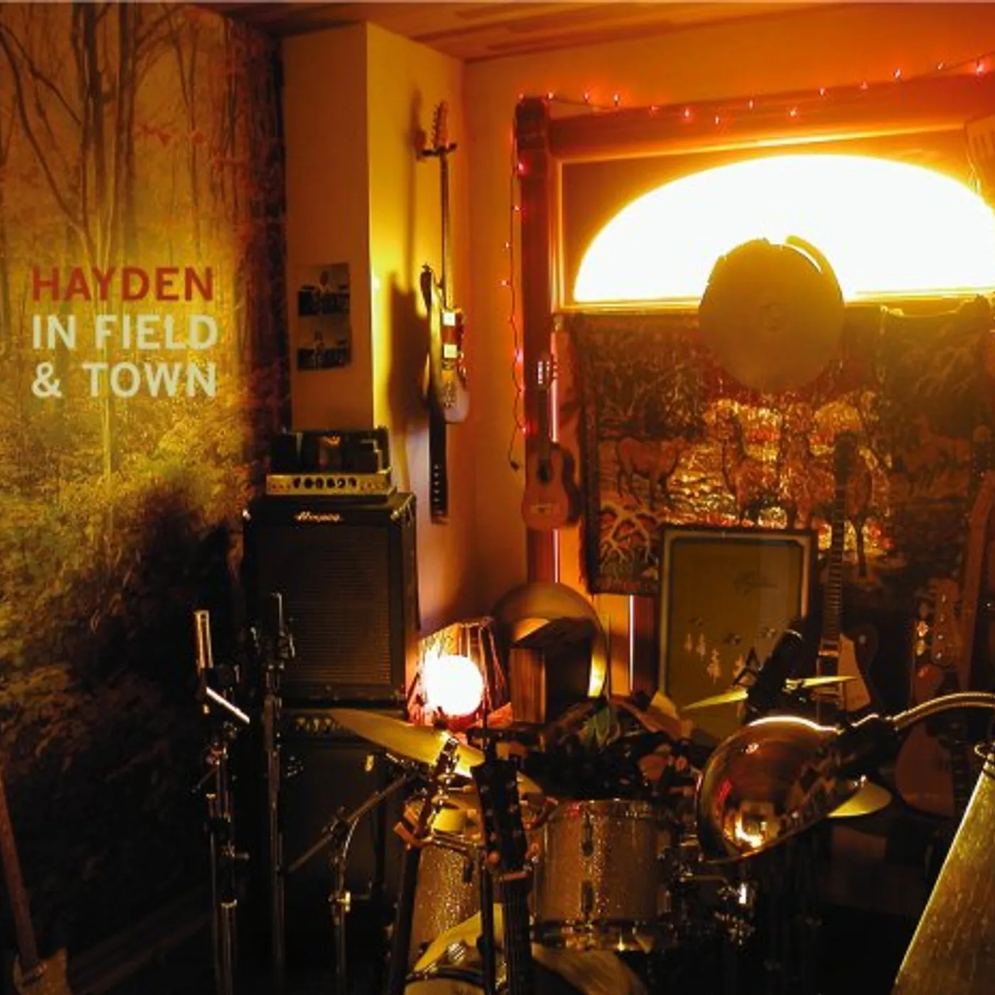 Hayden IN FIELD & TOWN CD