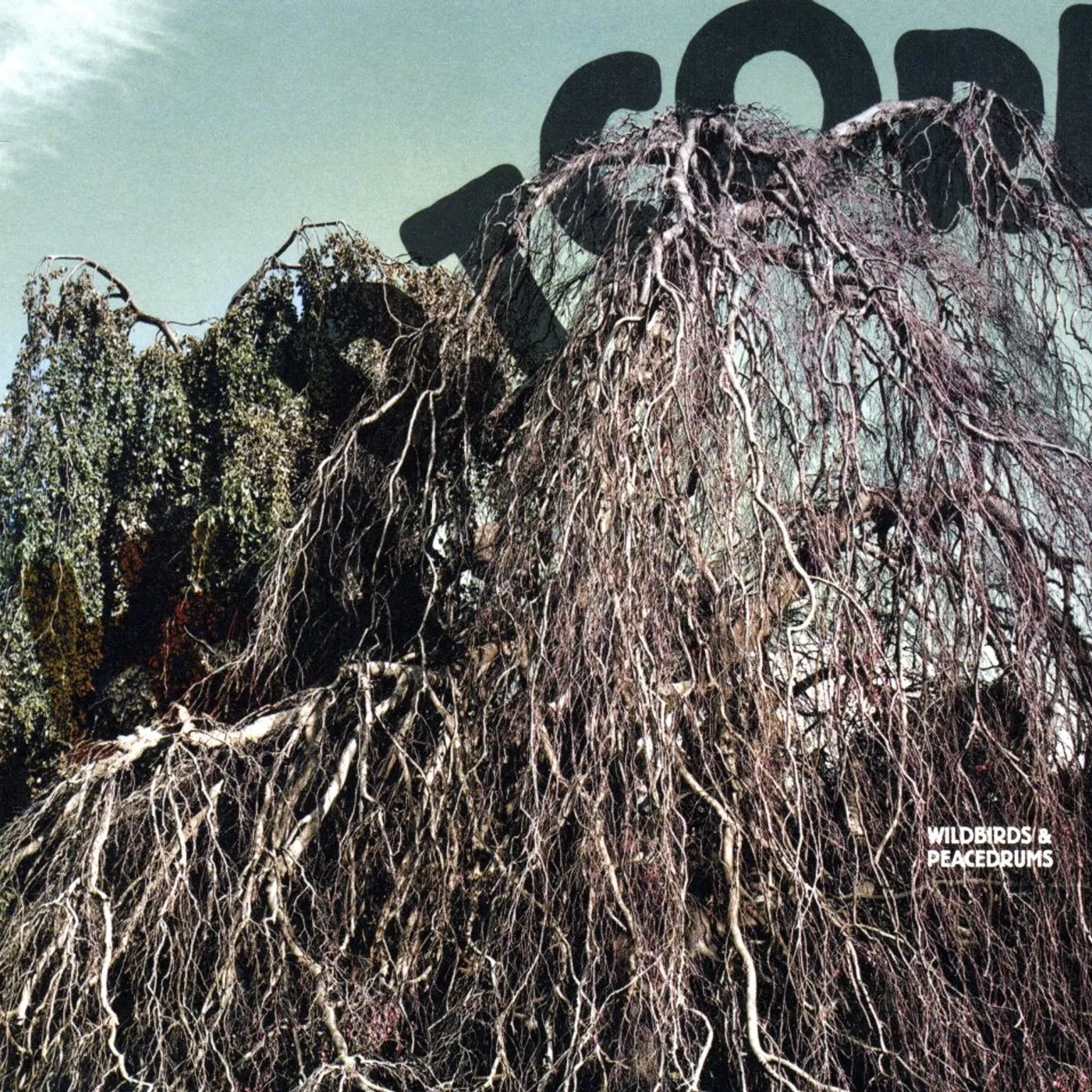 Wildbirds & Peacedrums HEARTCORE CD