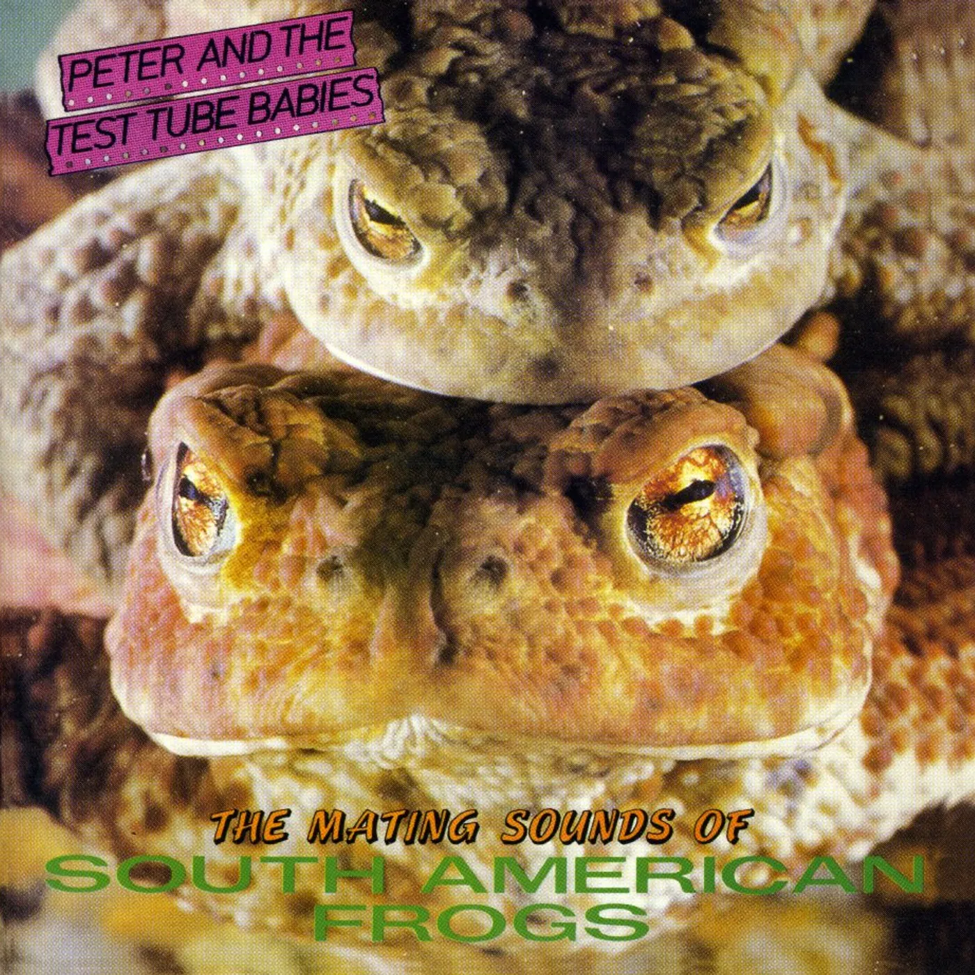 Peter and the Test Tube Babies MATING SOUNDS OF SOUTH AMERICAN FROGS CD