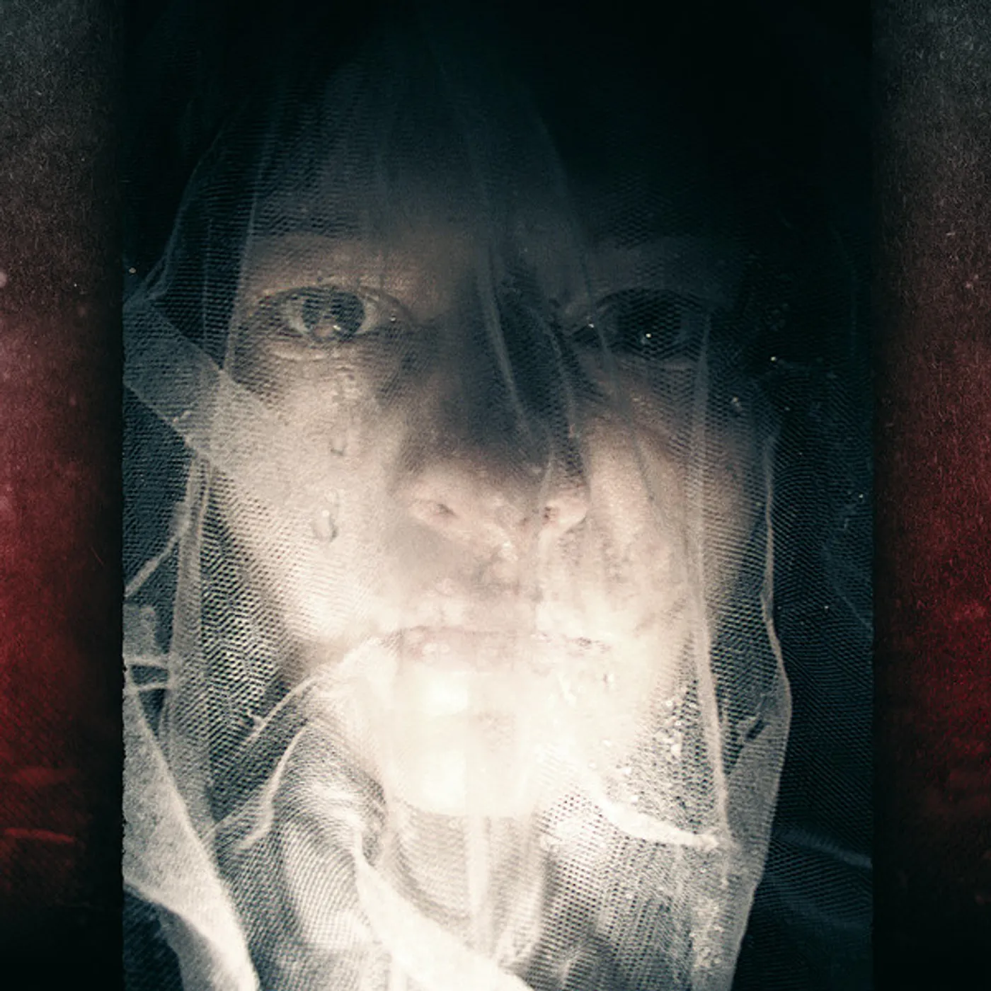 Eleanoora Rosenholm Vainajan muotokuva Vinyl Record