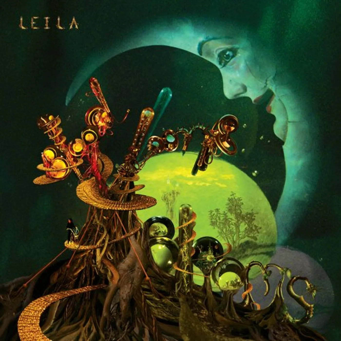 Leila Blood Looms And Blooms Vinyl Record