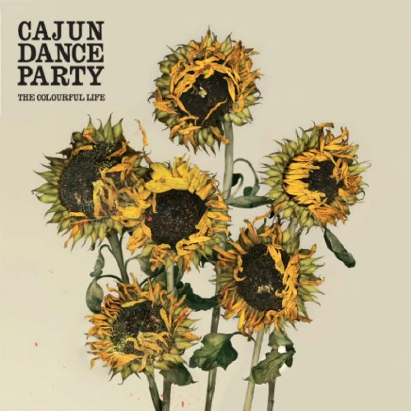 Cajun Dance Party COLOURFUL LIFE CD