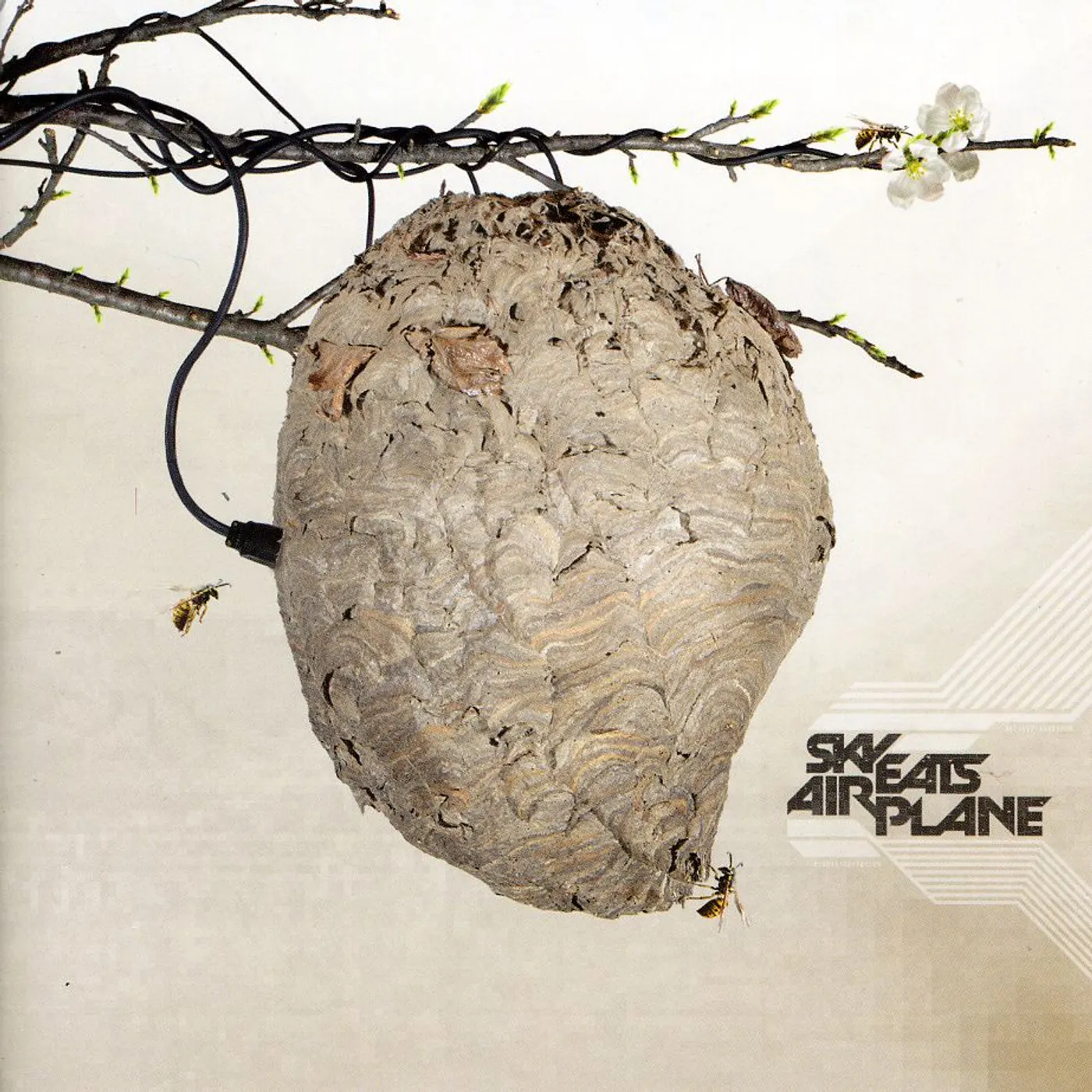 SKY EATS AIRPLANE CD