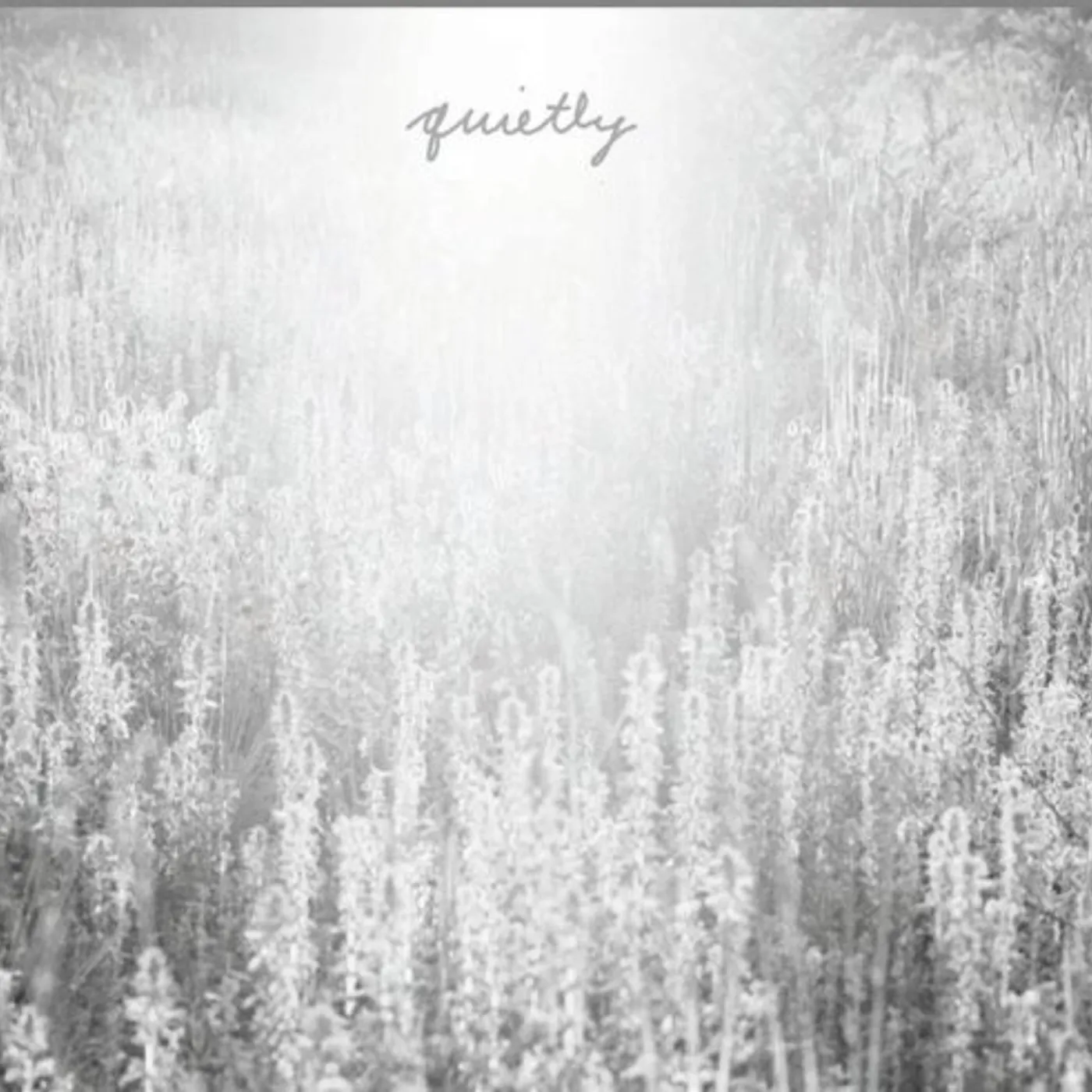 Mouth Of The Architect Quietly Vinyl Record