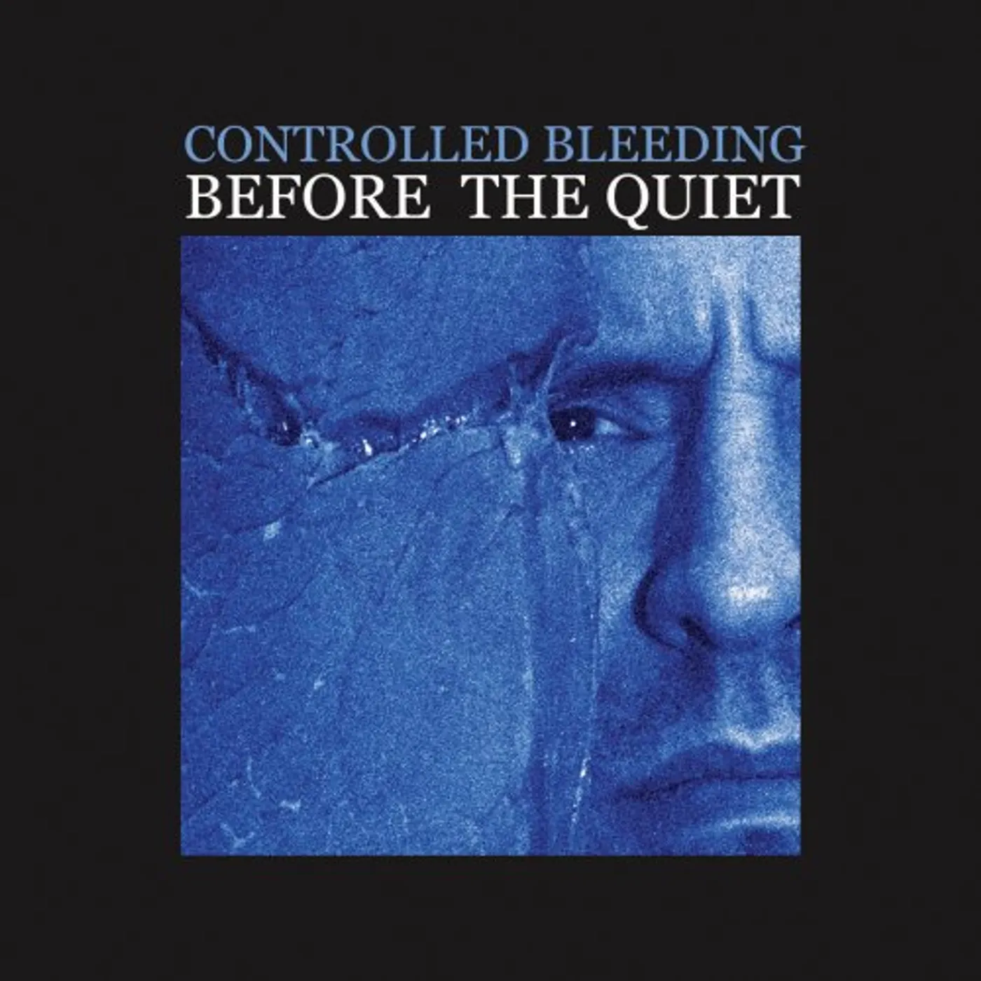 Controlled Bleeding BEFORE THE QUIET CD