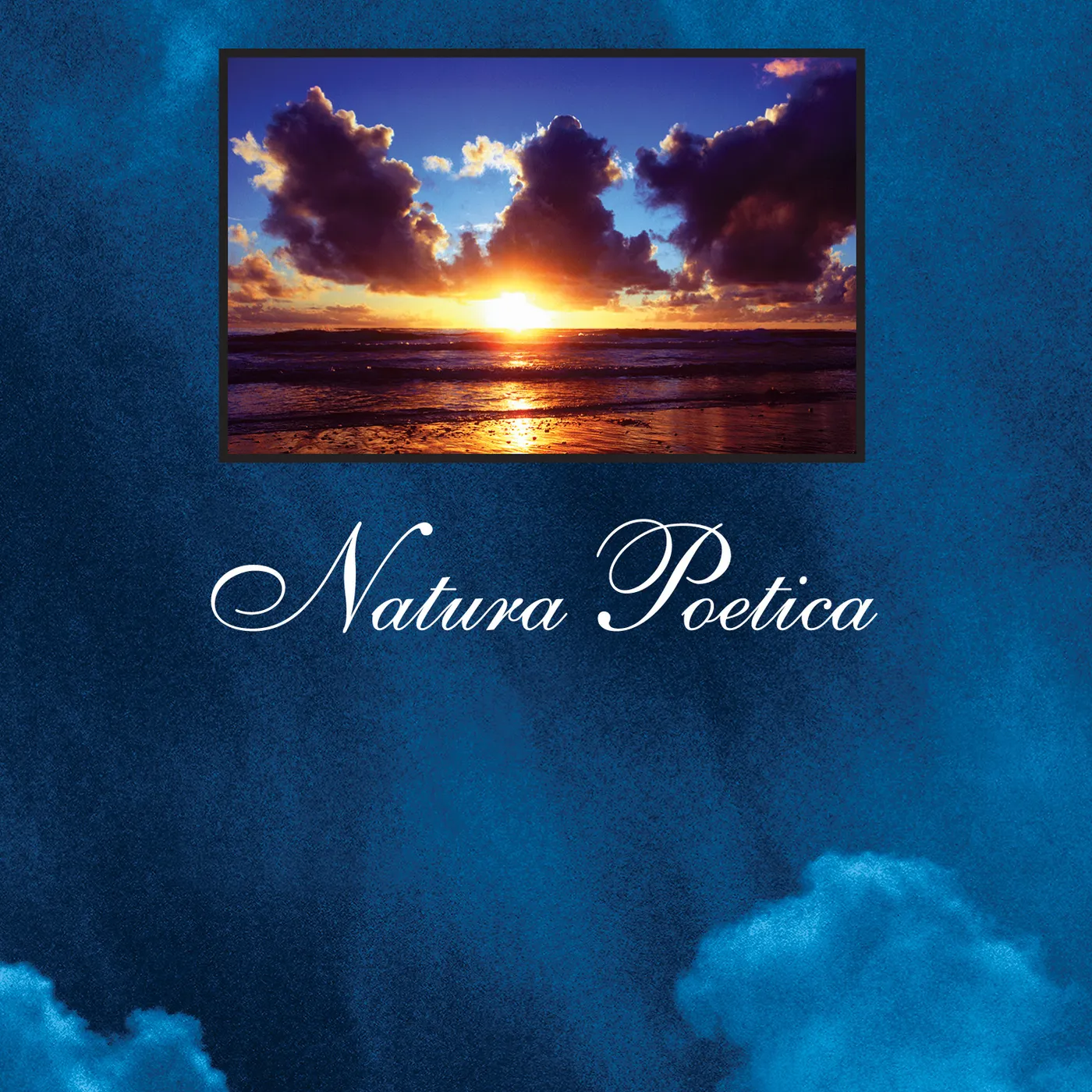 Suzanne Ciani NATURA POETICA DVD