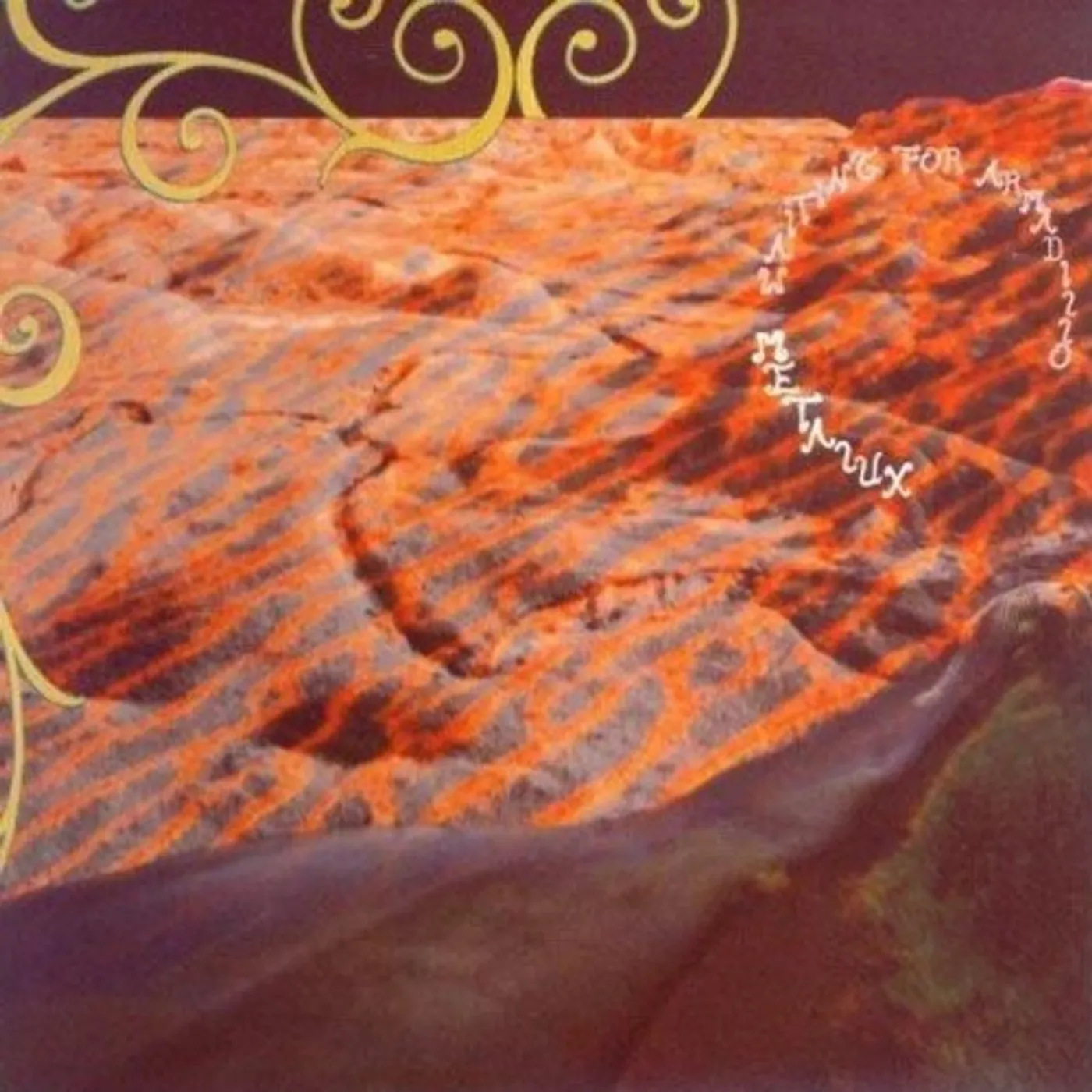 Metalux WAITING FOR ARMADILLO Vinyl Record