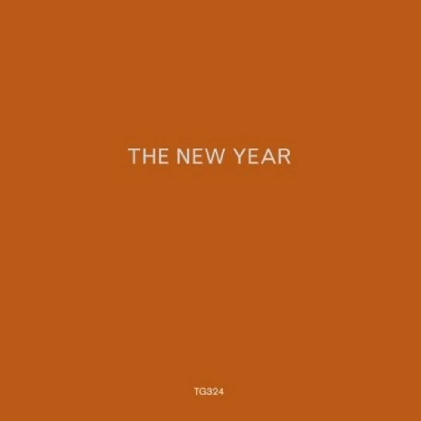 The New Year Vinyl Record