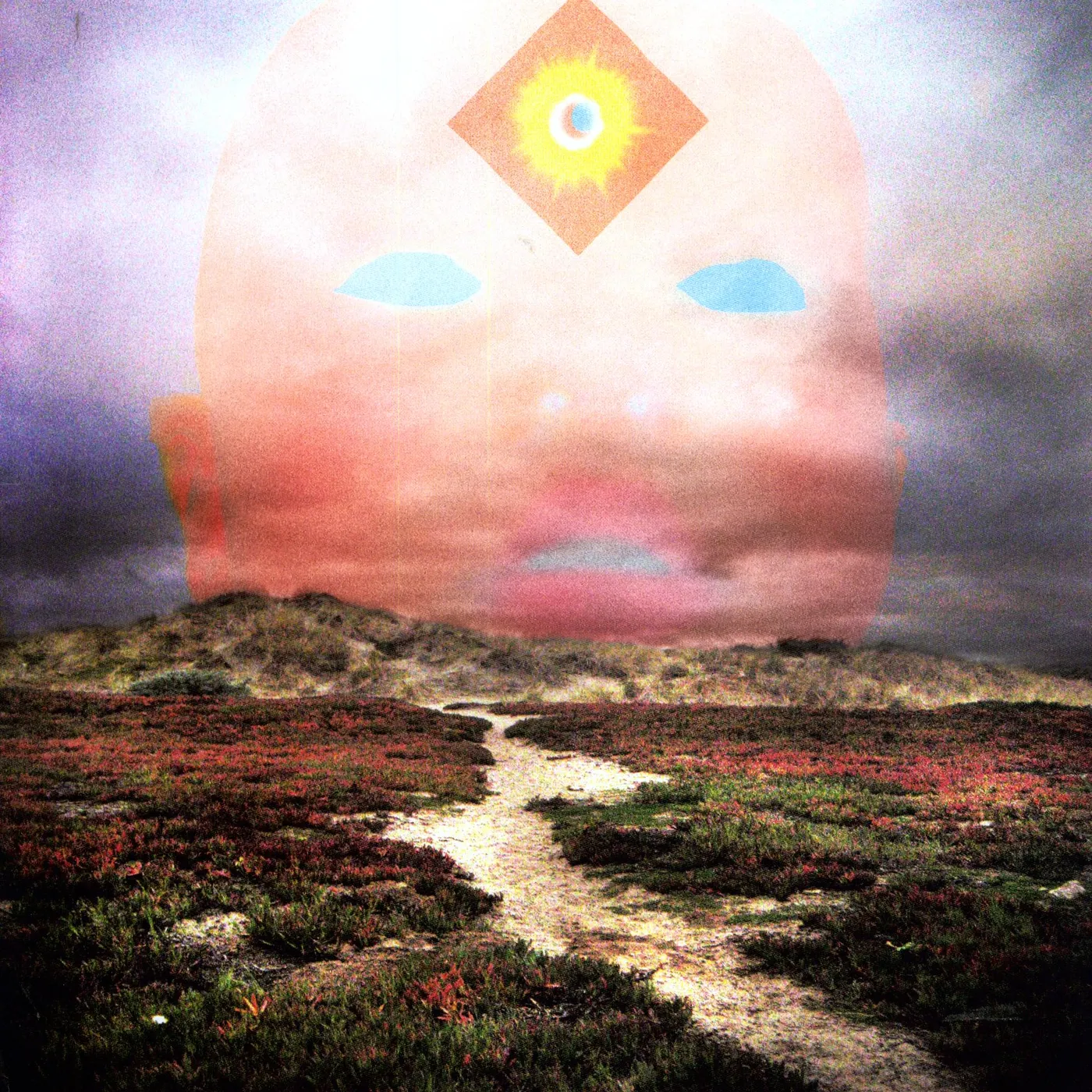 High Places Vinyl Record