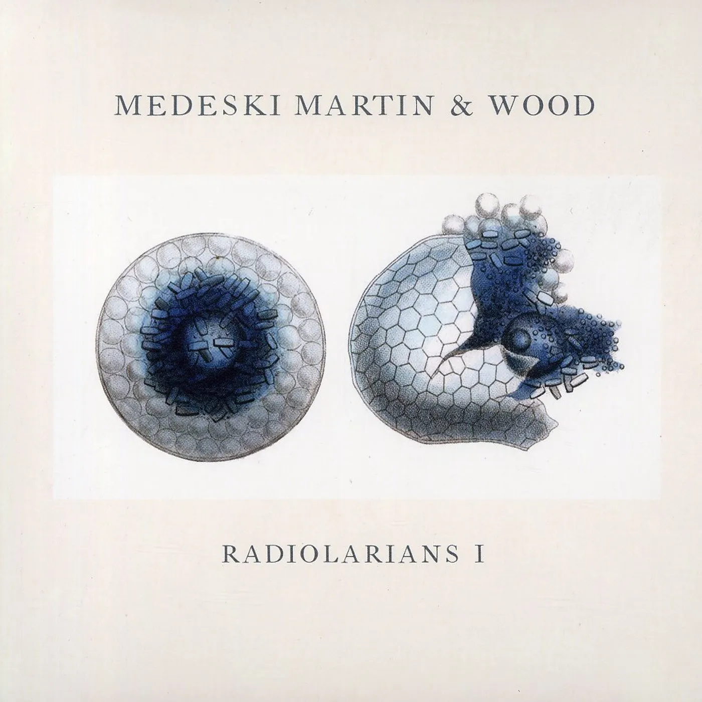 Medeski, Martin & Wood RADIOLARIANS 1 CD
