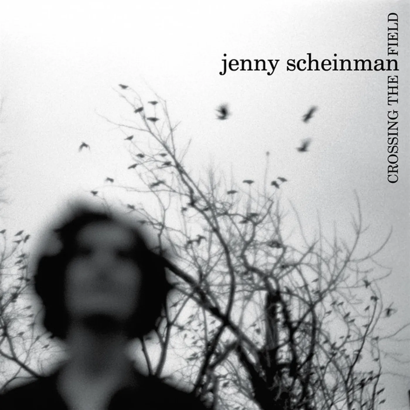 Jenny Scheinman Crossing The Field Vinyl Record