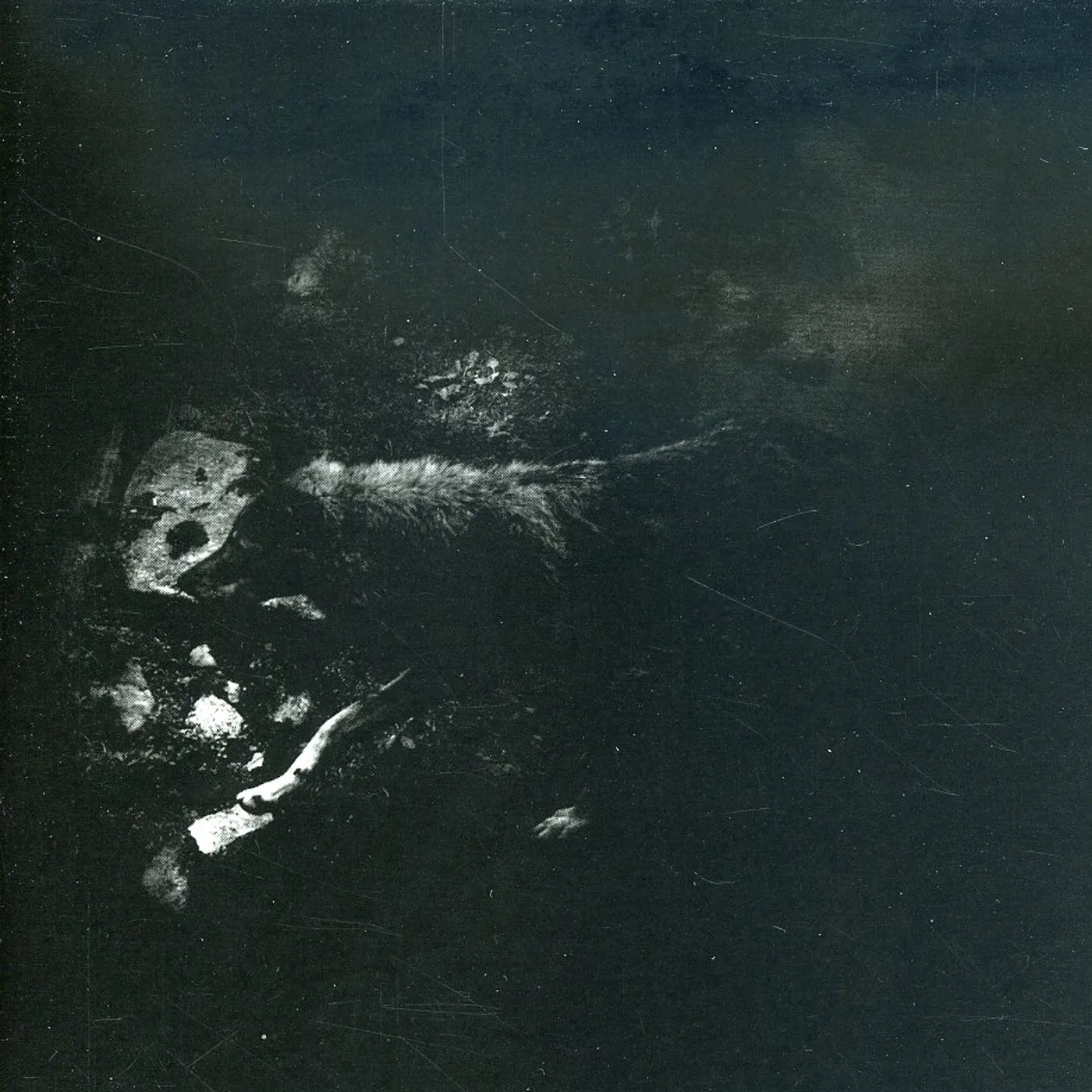 October Falls WOMB OF PRIMORDIAL NATURE CD