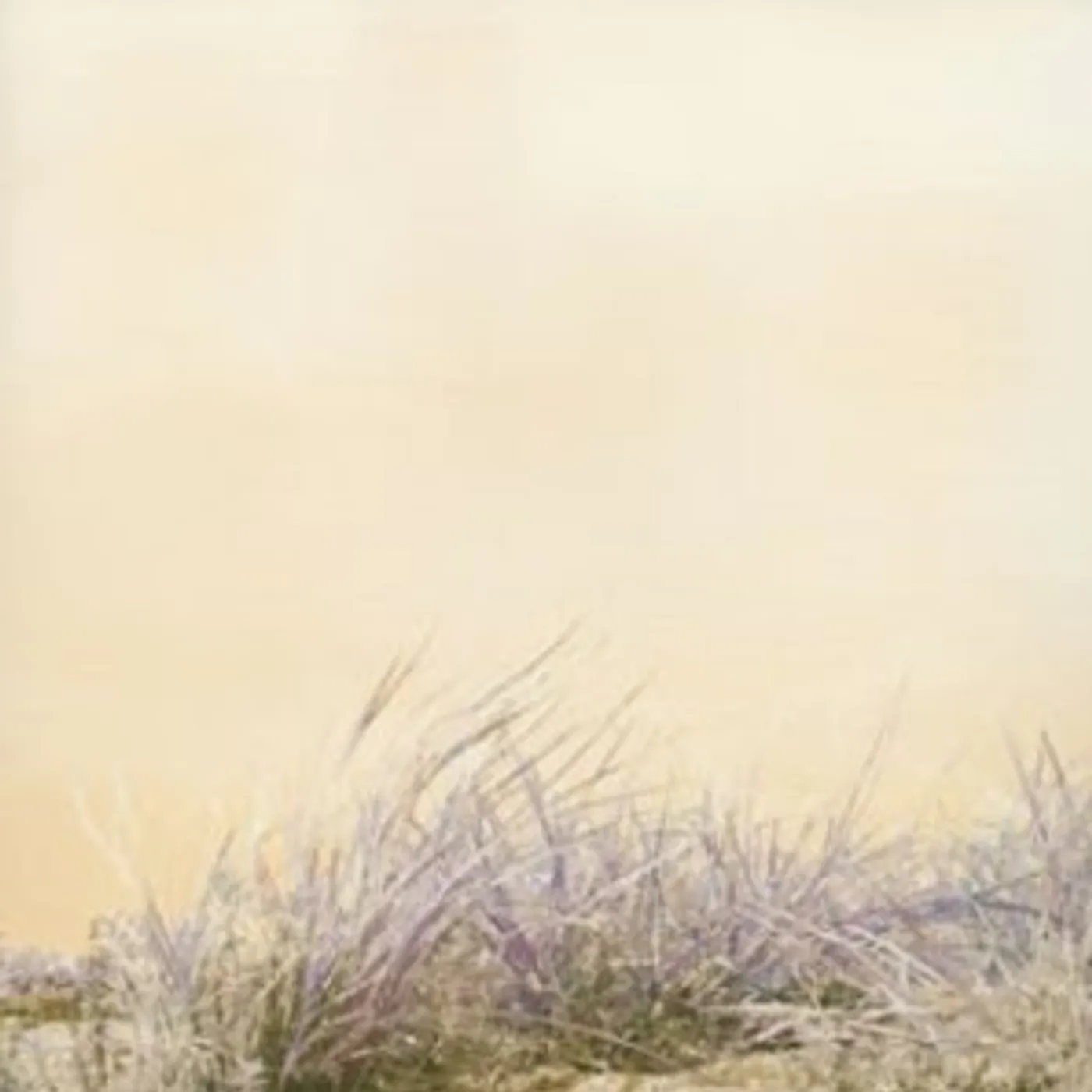 ART-SCHOOL SLEEP FLOWER CD