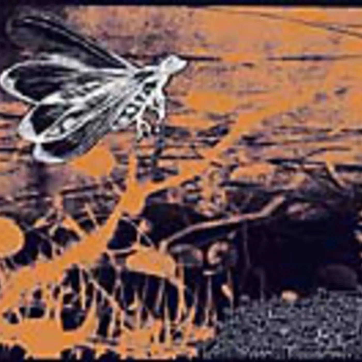 Kemialliset Ystävät ALKUHARKA CD