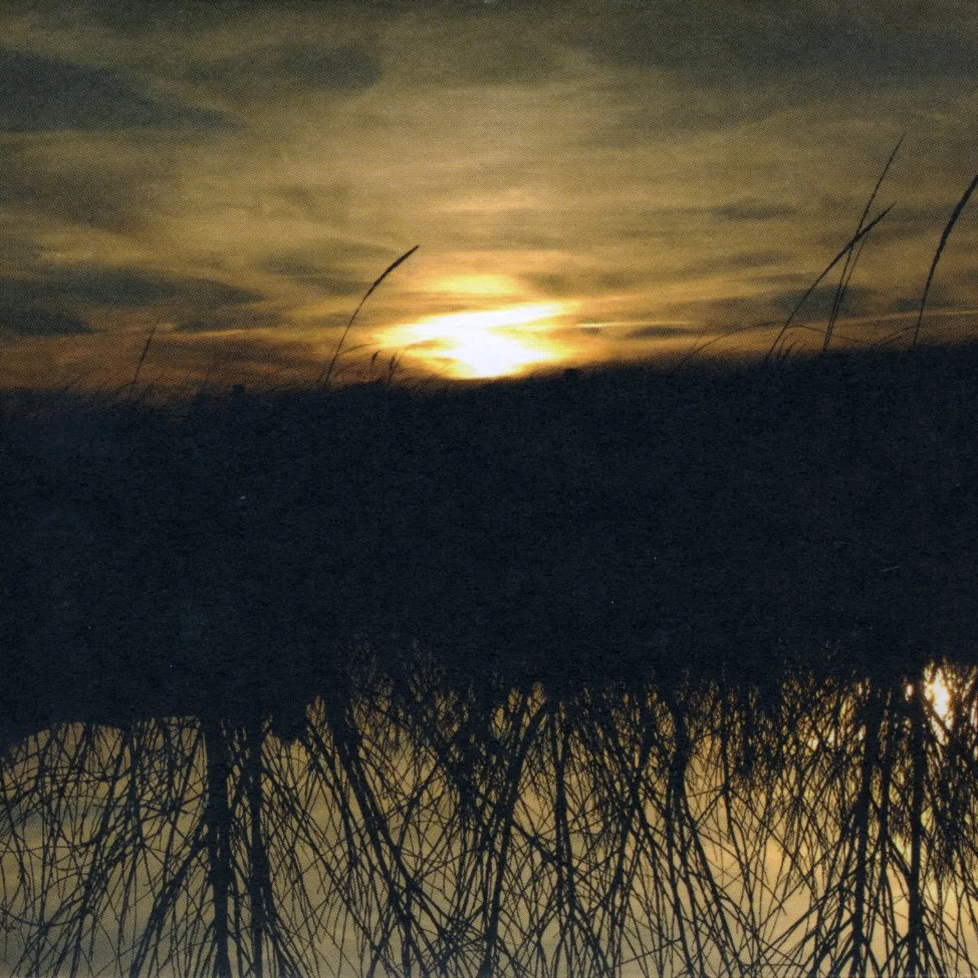 Anthony Green AVALON CD