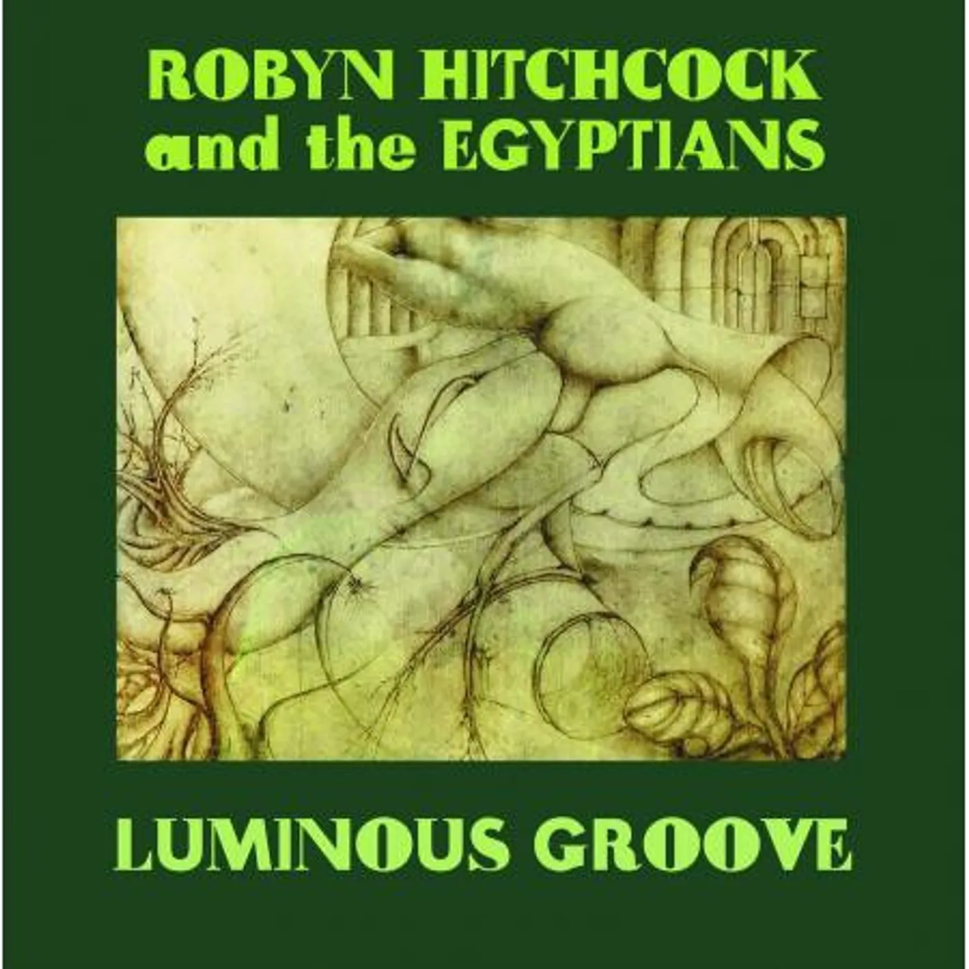 Robyn Hitchcock LUMINOUS GROOVE CD