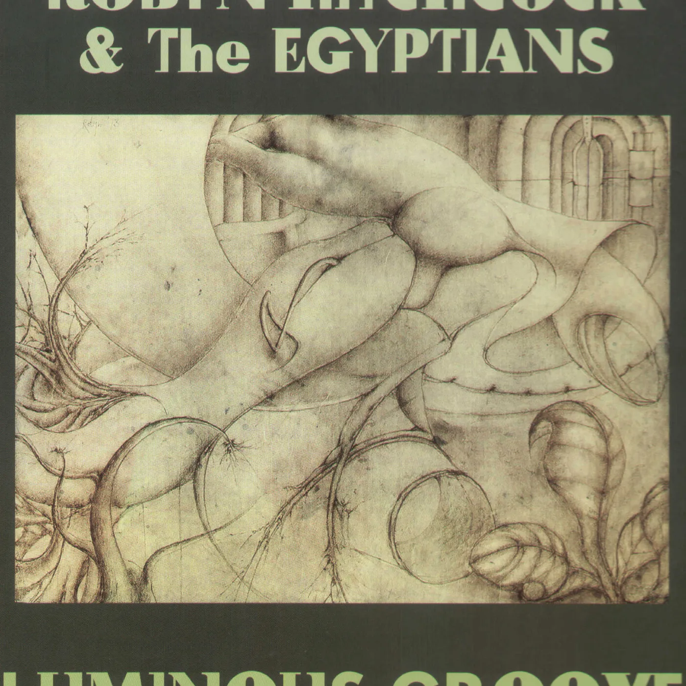 Robyn Hitchcock Luminous Groove Vinyl Record